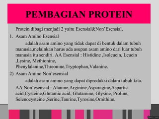 PEMBAGIAN PROTEIN
Protein dibagi menjadi 2 yaitu Esensial&NonEsensial,
1. Asam Amino Esensial
adalah asam amino yang tidak dapat di bentuk dalam tubuh
manusia,melainkan harus ada asupan asam amino dari luar tubuh
manusia itu sendiri. AA Esensial : Histidine ,Isoleucin, Leucin
,Lysine, Methionine,
Phenylalanine,Threonine,Tryptophan,Valanine.
2) Asam Amino Nonesensial
adalah asam amino yang dapat diproduksi dalam tubuh kita.
AA Nonesensial : Alanine,Arginine,Asparagine,Aspartic
acid,Cysteine,Glutamic acid, Glutamine, Glysine, Proline,
Selenocysteine ,Serine,Taurine,Tyrosine,Ornithine.
 