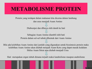 METABOLISME PROTEIN
Protein yang terdapat dalam makanan kita dicerna dalam lambung
dan usus menjadi Asam Amino
Diabsorpsi dan dibawa oleh darah ke hati
Sebagian Asam Amino diambil oleh hati
Protein dalam sel-sel tubuh dibentuk dari Asam Amino
Bila ada kelebihan Asam Amino dari jumlah yang digunakan untuk biosintesis protein maka
kelebihan Asam Amino akan diubah menjadi Asam Keto yang dapat masuk kedalam
Siklus Asam Sitrat atau diubah menjadi Urea
Hati merupakan organ tubuh dimana terjadi reaksi katabolisme maupun anabolisme
 