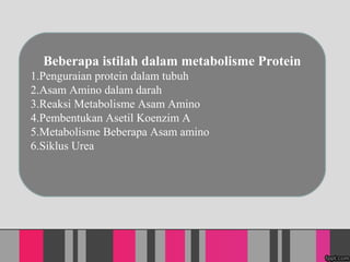 Beberapa istilah dalam metabolisme Protein
1.Penguraian protein dalam tubuh
2.Asam Amino dalam darah
3.Reaksi Metabolisme Asam Amino
4.Pembentukan Asetil Koenzim A
5.Metabolisme Beberapa Asam amino
6.Siklus Urea
 