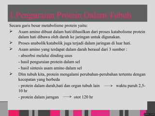 1.Penguraian Protein Dalam Tubuh
Secara garis besar metabolisme protein yaitu:
? Asam amino dibuat dalam hati/dihasilkan dari proses katabolisme protein
dalam hati dibawa oleh darah ke jaringan untuk digunakan.
? Proses anabolik/katabolik juga terjadi dalam jaringan di luar hati.
? Asam amino yang terdapat dalam darah berasal dari 3 sumber :
- absorbsi melalui dinding usus
- hasil penguraian protein dalam sel
- hasil sintesis asam amino dalam sel
? Dlm tubuh kita, protein mengalami perubahan-perubahan tertentu dengan
kecepatan yang berbeda
- protein dalam darah,hati dan organ tubuh lain waktu paruh 2,5-
10 hr
- protein dalam jarngan otot 120 hr
 