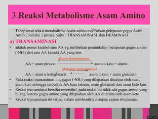 3.Reaksi Metabolisme Asam Amino
Tahap awal reaksi metabolisme Asam amino melibatkan pelepasan gugus Asam
Amino, melalui 2 proses, yaitu : TRANSAMINASI dan DEAMINASI
a) TRANSAMINASI
? adalah proses katabolisme AA yg melibatkan pemindahan/ pelepasan gugus amino
(-NH2) dari satu AA kepada AA yang lain
alanin transaminase
AA + asam piruvat asam  keto + alanin
glutamat transaminase
AA + asam  ketoglutarat asam  keto + asam glutamat
? Pada reaksi transaminasi ini, gugus (-NH2) yang dilepaskan diterima oleh suatu
asam keto sehingga terbentuk AA baru (alanin, asam glutamat) dan asam keto lain.
? Reaksi transaminasi bersifat reversibel, pada reaksi ini tidak ada gugus amino yang
hilang, karena gugus amino yang dilepaskan oleh AA diterima oleh asam keto.
? Reaksi transaminasi ini terjadi dalam mitokondria maupun cairan sitoplasma.
 