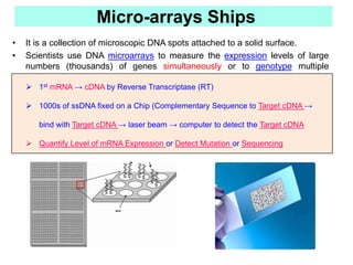 Molecular Technology | PPT
