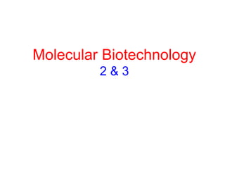 Molecular Biotechnology
2 & 3
 