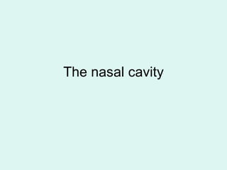 The nasal cavity
 