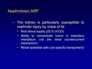 Nephrotoxic ARF
– The kidney is particularly susceptible to
nephrotic injury by virtue of its
• Rich blood supply (25 % of CO)
• Ability to concentrate toxins in medullary
interstitium (via the renal countercurrent
mechanism)
• Renal epithelial cells (via specific transporters)
 