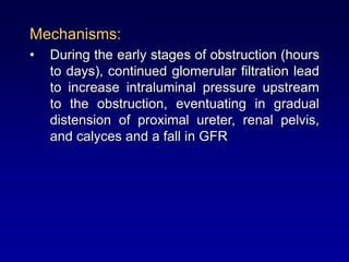 Mechanisms:
• During the early stages of obstruction (hours
to days), continued glomerular filtration lead
to increase intraluminal pressure upstream
to the obstruction, eventuating in gradual
distension of proximal ureter, renal pelvis,
and calyces and a fall in GFR
 