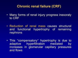 Chronic renal failure (CRF)
• Many forms of renal injury progress inexoraly
to CRF
• Reduction of renal mass causes structural
and functional hypertrophy of remaining
nephrons
• This compensatory hypertrophy is due to
adaptive hyperfiltration mediated by
increases in glomerular capillary pressures
and flows
 