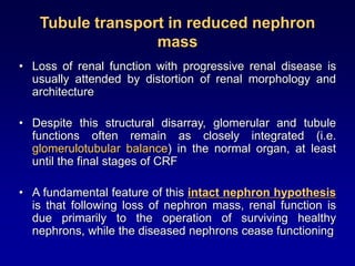 Tubule transport in reduced nephron
mass
• Loss of renal function with progressive renal disease is
usually attended by distortion of renal morphology and
architecture
• Despite this structural disarray, glomerular and tubule
functions often remain as closely integrated (i.e.
glomerulotubular balance) in the normal organ, at least
until the final stages of CRF
• A fundamental feature of this intact nephron hypothesis
is that following loss of nephron mass, renal function is
due primarily to the operation of surviving healthy
nephrons, while the diseased nephrons cease functioning
 