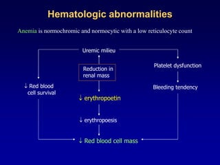 Hematologic abnormalities
Anemia is normochromic and normocytic with a low reticulocyte count
Uremic milieu
Reduction in
renal mass
 erythropoetin
 erythropoesis
 Red blood cell mass
 Red blood
cell survival
Platelet dysfunction
Bleeding tendency
 