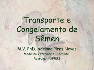 Transporte e
Congelamento de
Sêmen
M.V. PhD. Adriana Pires Neves
Medicina Veterinária – URCAMP
Reprolab - UFRGS
 