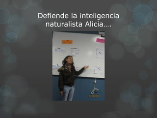 Defiende la inteligencia
  naturalista Alicia….
 