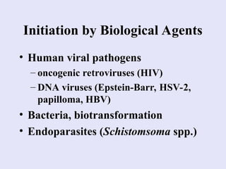 Carcinogenesis mechanisms and cell division | PPT