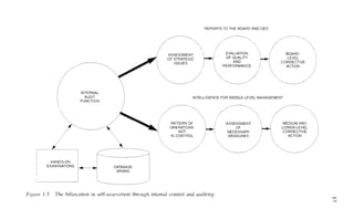 Implementing And Auditing The Internal Control System Dimitris N ...