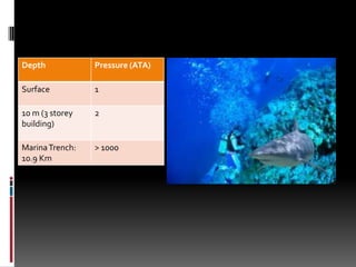 Depth            Pressure (ATA)

Surface          1

10 m (3 storey   2
building)

Marina Trench:   > 1000
10.9 Km
 
