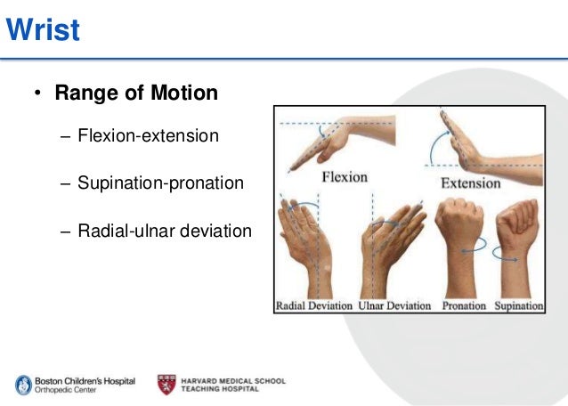 12162015 presentation of hand and wrist injuries
