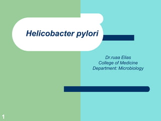 Helicobacter pylori
Dr.ruaa Elias
College of Medicine
Department: Microbiology
1
 