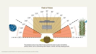 humanspaces.com/2015/05/21/non-rhythmic-sensory-stimuli-give-yourself-a-break/
 