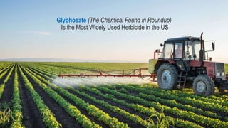 Glyphosate (The Chemical Found in Roundup)
Is the Most Widely Used Herbicide in the US
 