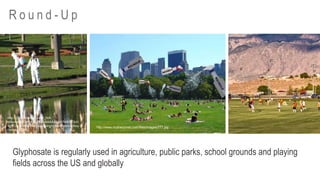 R o u n d - U p
Glyphosate is regularly used in agriculture, public parks, school grounds and playing
fields across the US and globally
http://2.bp.blogspot.com/_mA-
s9buno68/TAffNc9L7FI/AAAAAAAAA74/MYOcH
9gYCdc/s1600/Men+spraying+chemicals+withou
t+masks.JPG
http://www.motherjones.com/files/images/777.jpg
 