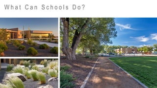 W h a t C a n S c h o o l s D o ?
 