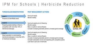 PEST MANAGEMENT ACTIONS
Hand pull weeds
Monitor weekly
Hand pull weeds prior to flowering
Monitor weekly
Mow or scythe to remove flowers
Consider increasing desirable plants to increase good coverage
Hand pull weeds prior to flowering
Monitor weekly
Mow or scythe to remove flowers
Consider increasing desirable plants to increase good coverage
Consider solarization of soil and replanting with competitive plants
Last resort: spot use of chemicals
THRESHOLDS/OBSERVATIONS
Level 1:
Presence of identifiable weed
Level 2:
Flowering weeds starting or there is
competition with more than 10% of
intentional landscape
Level 3:
Weed population is outcompeting
intentional landscape or more than 50%
of intentional landscape
I P M f o r S c h o o l s | H e r b i c i d e R e d u c t i o n
 
