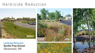 Landscape Renovation
Sandia Prep School
Albuquerque, NM
before
after
H e r b i c i d e R e d u c t i o n
 