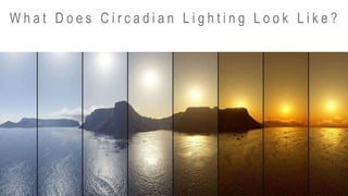W h a t D o e s C i r c a d i a n L i g h t i n g L o o k L i k e ?
 