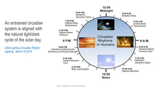 An entrained circadian
system is aligned with
the natural light/dark
cycle of the solar day.
USAI Lighting Circadian Rhythm
Lighting, March 16,2015
Credit: Joseph M. Cohen, Self Hacked
 