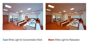 Cool White Light for Concentration Work Warm White Light for Relaxation
Credit: Nils Petter Dale
 