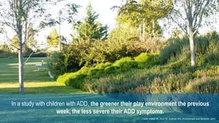 In a study with children with ADD, the greener their play environment the previous
week, the less severe their ADD symptoms.
Credit: Taylor AF, Kuo FE, Sullivan WC, Environment and Behavior, 2001
 