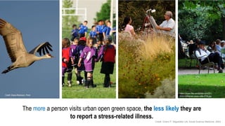 The more a person visits urban open green space, the less likely they are
to report a stress-related illness.
Credit: Diana Robinson, Flickr
https://cityeu.files.wordpress.com/201
0/04/c2a9daniel-casas-valle-013b.jpg
Credit: Grahn P, Stigsdotter UA, Social Science Medicine, 2003
 