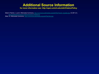 Additional Source Information
                       for more information see: http://open.umich.edu/wiki/CitationPolicy

Slide 8: Patrick J. Lynch, Wikimedia Commons, http://commons.wikimedia.org/wiki/File:Facial_muscles.jpg, CC:BY 2.5,
      http://creativecommons.org/licenses/by/2.5/deed.en
Slide 15: Wikimedia Commons, http://commons.wikimedia.org/wiki/File:Skin.jpg
 