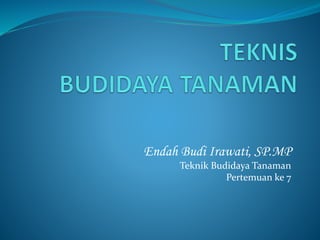 Endah Budi Irawati, SP.MP
Teknik Budidaya Tanaman
Pertemuan ke 7
 