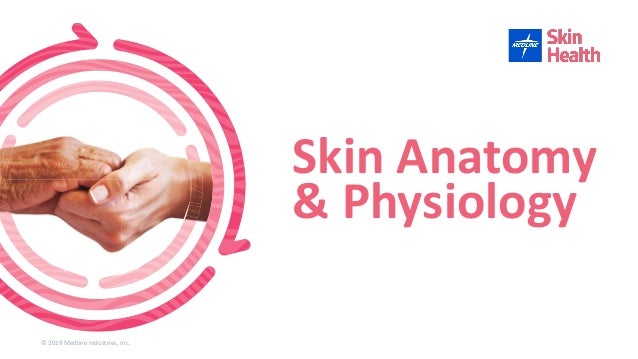 Skin Anatomy & Physiology