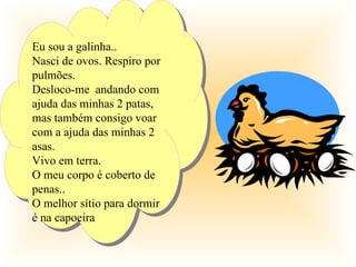 Eu sou a galinha..
Nasci de ovos. Respiro por
pulmões.
Desloco-me andando com
ajuda das minhas 2 patas,
mas também consigo voar
com a ajuda das minhas 2
asas.
Vivo em terra.
O meu corpo é coberto de
penas..
O melhor sítio para dormir
é na capoeira
 