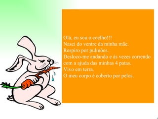Olá, eu sou o coelho!!!
Nasci do ventre da minha mãe.
Respiro por pulmões.
Desloco-me andando e às vezes correndo
com a ajuda das minhas 4 patas.
Vivo em terra.
O meu corpo é coberto por pelos.
 