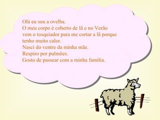 Olá eu sou a ovelha.
O meu corpo é coberto de lã e no Verão
vem o tosquiador para me cortar a lã porque
tenho muito calor.
Nasci do ventre da minha mãe.
Respiro por pulmões.
Gosto de passear com a minha família.
 