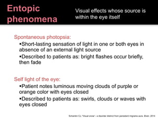 Photopsia Visual Example Visual Snow | PPTX