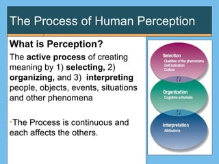 Perfect Perception Events 121chapter32014 | PPT
