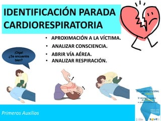 Primeros Auxilios
IDENTIFICACIÓN PARADA
CARDIORESPIRATORIA
• ANALIZAR RESPIRACIÓN.
¡Oiga!
¿Se encuentra
bien?
• ABRIR VÍA AÉREA.
• ANALIZAR CONSCIENCIA.
• APROXIMACIÓN A LA VÍCTIMA.
 
