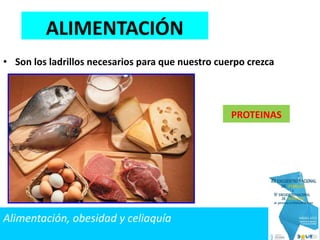 • Son los ladrillos necesarios para que nuestro cuerpo crezca
PROTEINAS
ALIMENTACIÓN
Alimentación, obesidad y celiaquía
 
