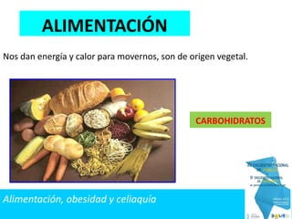 Nos dan energía y calor para movernos, son de origen vegetal.
CARBOHIDRATOS
ALIMENTACIÓN
Alimentación, obesidad y celiaquía
 