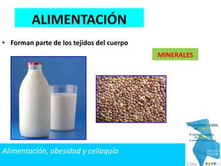 • Forman parte de los tejidos del cuerpo
MINERALES
ALIMENTACIÓN
Alimentación, obesidad y celiaquía
 