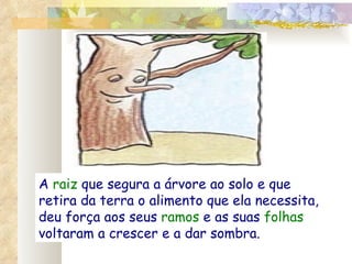A  raiz  que segura a árvore ao solo e que retira da terra o alimento que ela necessita, deu força aos seus  ramos  e as suas  folhas  voltaram a crescer e a dar sombra. 