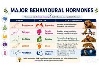 Animal Behaviour Explained | Ethology, Genetics, Ecology & Behavioural ...