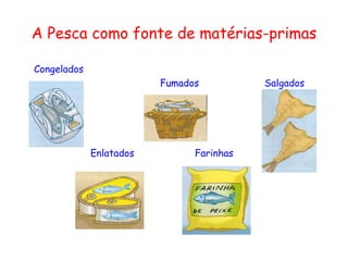 A Pesca como fonte de matérias-primas

Congelados
                         Fumados          Salgados




             Enlatados         Farinhas
 