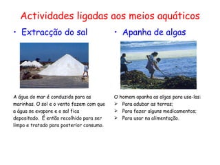 Actividades ligadas aos meios aquáticos
• Extracção do sal                        • Apanha de algas




A água do mar é conduzida para as         O homem apanha as algas para usa-las:
marinhas. O sol e o vento fazem com que    Para adubar as terras;
a água se evapore e o sal fica             Para fazer alguns medicamentos;
depositado. É então recolhido para ser     Para usar na alimentação.
limpo e tratado para posterior consumo.
 