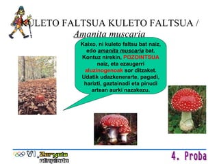 KULETO FALTSUA KULETO FALTSUA /  Amanita muscaria Kaixo, ni kuleto faltsu bat naiz, edo  amanita muscaria  bat. Kontuz nirekin ,  POZOINTSUA  naiz, eta ezaugarri  aluzinogenoak  sor ditzaket. Udatik udazkenerarte, pagadi, harizti, gaztainadi eta pinudi artean aurki nazakezu. 