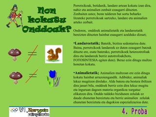 Perretxikoak, betidanik, landare artean kokatu izan dira, nahiz eta animalien zenbait ezaugarri dituzten. Zenbaiten ustez, beste talderen bat sortu beharko litzateke perretxikoak sartzeko, landare eta animalien arteko zerbait.  Ondoren,  onddoek animalietatik eta landareetatik bereizten dituzten hainbat esaugarri azalduko dizuet; Landareetatik;  Batetik, bizitza sedentarioa dute. Baina, perretxikoek landareek ez duten ezaugarri batzuk dituzte ere, esate baterako, perretxikoek hetereotrofoak dira eta landareek berriz autotrofoak(hots, FOTOSINTESIA egiten dute). Beraz ezin ditugu multzo honetan kokatu.  Animalietatik;  Animalien multzoan ere ezin ditugu kokatu hainbat arrazoiengandik. Adibidez, animaliak lekuz mugitzen direlako. Alde batera eta bestera ibiltzen dira janari bila, onddoek berriz ezin dira lekuz mugitu eta inguruan dagoen materia organikoa xurgatuz elikatzen dira. Onddo taldeko bizidunen zelulak ez daude ehunetan bereiztuta eta berriz animalien  zelulak ehunetan bereiztuta eta dagokion espezializazioa dute. 