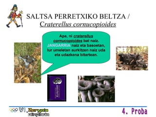 SALTSA PERRETXIKO BELTZA /  C raterellus   cornucopioides Apa, ni  craterellus cornucopioides  bat naiz.  JANGARRIA  naiz eta basoetan, lur umeletan aurkitzen naiz uda eta udazkena bitartean. 